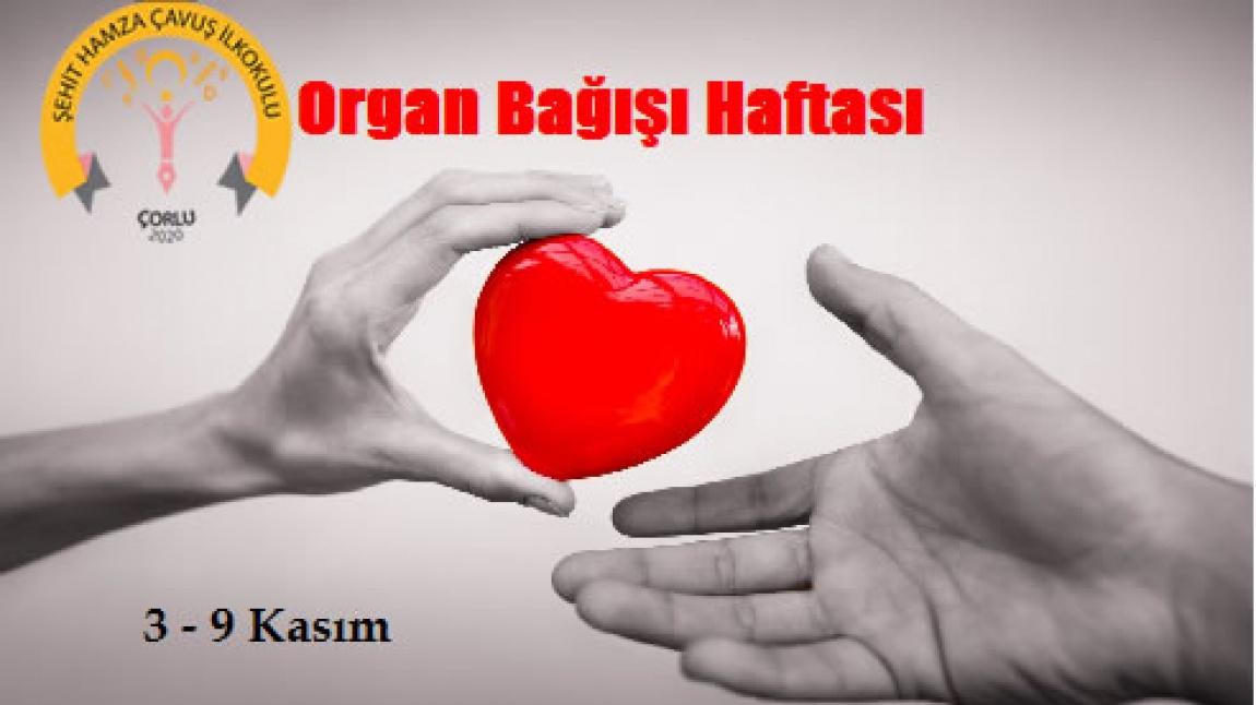 Organ Bağış Haftası (3-9 KASIM)